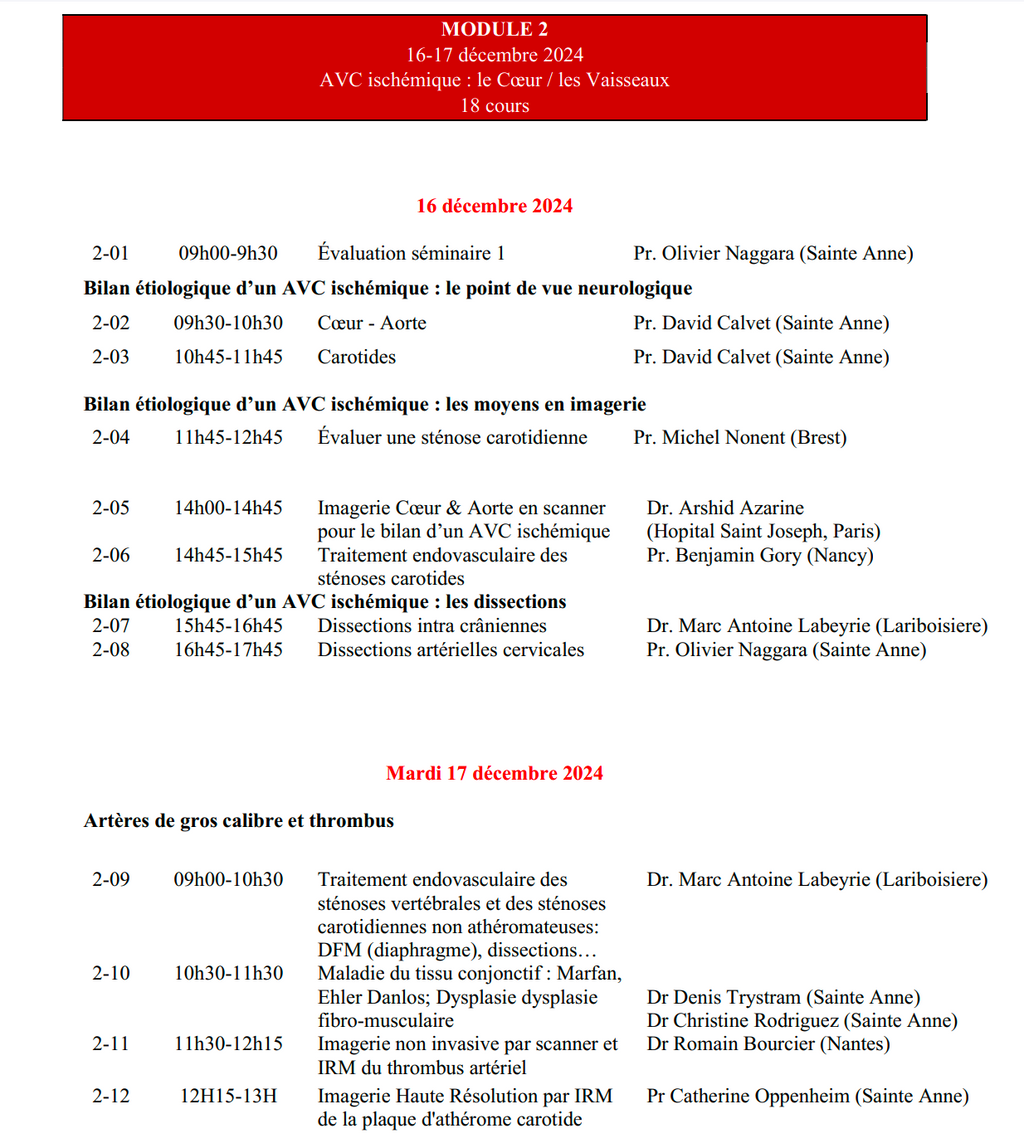 DIU d'Imagerie Neurovasculaire de l'Université Paris Cité 2024 – 2025
