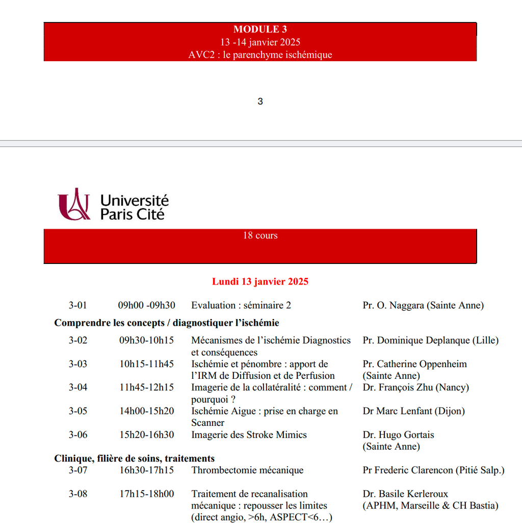 DIU d'Imagerie Neurovasculaire de l'Université Paris Cité 2024 – 2025