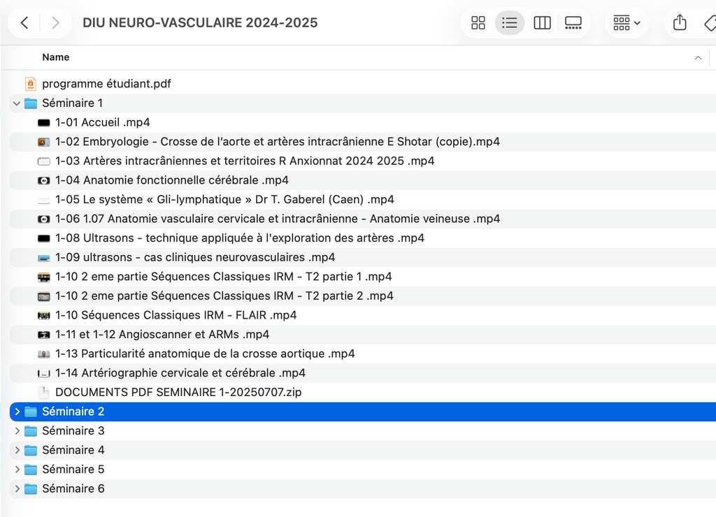 DIU d'Imagerie Neurovasculaire de l'Université Paris Cité 2024 – 2025
