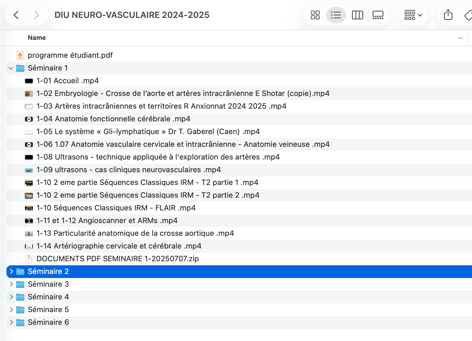 DIU d'Imagerie Neurovasculaire de l'Université Paris Cité 2024 – 2025