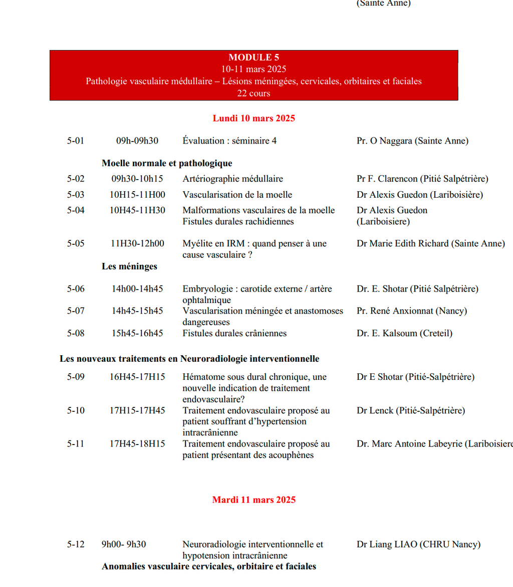DIU d'Imagerie Neurovasculaire de l'Université Paris Cité 2024 – 2025